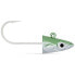 FIIISH Crazy Sand Eel Shore Jig Head 2 Units