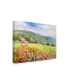 Фото #2 товара Li Bo 'Blooming Poppy 1' Canvas Art - 19" x 14"