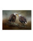 Фото #1 товара Jai Johnson 'Quiet Conversation Bald Eagles' Canvas Art - 32" x 22" x 2"