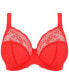 ფოტო #2 პროდუქტის Full Figure Charley Stretch Lace Bra EL4382, Online Only