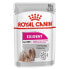 ROYAL CANIN Exigent Pate 85g Wet Dog Food 12 Units