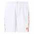 Фото #1 товара SERGIO TACCHINI Youngline Pro Shorts