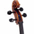 Gewa Germania 11 Prag Antik Cello