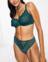 Фото #1 товара Ivory Rose lace and mesh high leg high waist brazilian brief in emerald green