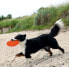 Trixie Dysk dla psa, guma termoplastyczna (TPR), o 22 cm