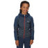 Фото #2 товара REGATTA Dissolver V full zip fleece