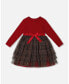 ფოტო #1 პროდუქტის Toddler Girls Bi-Material Dress With Glittering Tulle Skirt Red Plaid - Toddler|Child