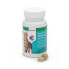 Фото #1 товара COVETFARM Nutricarevet Gastric Supplement Nutritional Supplement 80 Units