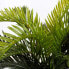 Фото #5 товара Искусственные цветы MICA Decorations Cycas-Palme Kunstpflanze