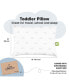 2pk Toddler Pillow, Soft Organic Cotton Toddler Pillows for Sleeping, 13X18 Kids Pillow