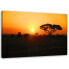 Фото #1 товара Wandbilder Afrika Baum Sonnenuntergang