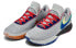 Баскетбольные кроссовки Nike LeBron 20 "Nike Lifer" 20 DJ5423-002