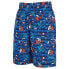 Фото #1 товара ZOGGS Watershorts ED swimming shorts