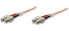 Фото #1 товара IC Intracom Fibre Optic Patch Cable - OM1 - SC/SC - 1m - Orange - Duplex - Multimode - 62.5/125 µm - LSZH - Fiber - Lifetime Warranty - Polybag - 1 m - OM1 - SC - SC - Male/Male - Orange,Multicolour
