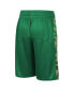 ფოტო #2 პროდუქტის Big Boys Kelly Green Boston Celtics Courtside Starting Five Team Shorts