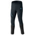 Фото #4 товара DYNAFIT Alpine Warm leggings