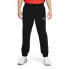 Фото #1 товара Puma Graphic Woven Training Pants Mens Size S Casual Athletic Bottoms 520563-01