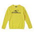 Фото #1 товара O´NEILL N4750003 N4750003 sweatshirt