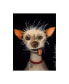 Фото #1 товара Leah Saulnier 'Ugly Dog' Canvas Art - 24" x 32"