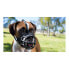 ფოტო #8 პროდუქტის COMPANY OF ANIMALS Baskerville Ultra 6x26 cm Muzzle