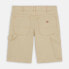 Фото #4 товара DICKIES Duck Canvas shorts