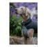 Фото #2 товара Пальто для собак Red Dingo Puffer 50 cm Черный/Серый