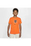 Футболка Nike Evergreen Crest T-shirt Orange.