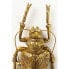 Фото #4 товара Wandschmuck Longicorn Beetle