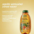 Фото #4 товара Shampoo and conditioner The Lion King Botanic Therapy Apricot (Shampoo & Detangler) 400 ml
