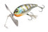 Jackall CHOPCUT Topwater (JCHOPC-HLB) Fishing