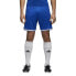 Фото #3 товара [CF9600] Mens Adidas Regista 18 Short