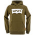 Фото #1 товара LEVI´S ® KIDS Batwing Screenprint hoodie