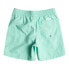 Фото #2 товара QUIKSILVER Everyday Vert Volley 14´´ Youth Swimming Shorts