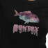ფოტო #4 პროდუქტის KRUSKIS Dentex short sleeve T-shirt