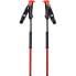 Фото #1 товара BLACK DIAMOND Traverse Poles