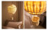 Фото #13 товара Rattan balloon screen ceiling lamp