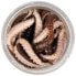 BERKLEY Powerbait Honey Worm Soft Lure 25 mm