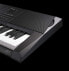 Casio CT-X5000 Top Keyboard with 61 Touch-Dynamic Standard Keys, Automatic Accompaniment and Strong Speaker System, Black, White & RockJam Xfinity Double Braced, Pre-Assembled Keyboard Stand