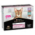 Фото #1 товара PURINA Pro Plan Multi Delicate Fish Turkey 85g Cat Snack 10 Units