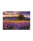 Фото #1 товара Darren White Photography Lupine Sunrise Canvas Art - 36.5" x 48"