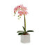 Фото #3 товара Декоративное растение Орхидея 18 x 47 x 14 cm Пластик (6 штук)
