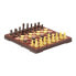 CAYRO Magnetic Chess Small Board Game