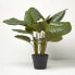 Фото #6 товара Künstliche Calathea Pflanze im Topf