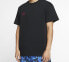 Nike ACG LogoT BQ7343-013 T-Shirt