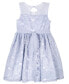 Little Girls Mesh Sweetheart Illusion Lace Dress