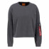 Фото #2 товара ALPHA INDUSTRIES X-Fit Label Os sweatshirt