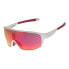 Фото #1 товара Очки Sinner Bryce II Sunglasses