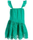 Toddler & Little Girls Cotton Eyelet Flutter-Strap Swing Dress