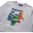 Фото #5 товара LEGO WEAR Scout sweatshirt