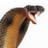 Фото #3 товара SAFARI LTD Cobra Figure